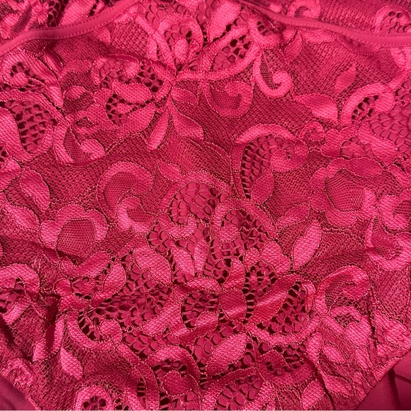 Profile by Gottex Lace Swimsuit Shalimar D-Cup 1 Piece Ruby Swim Straps - Picture 3 of 12